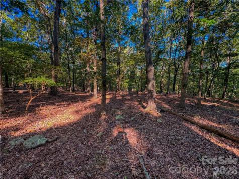 388 Palisade Trace Denton NC 27239
