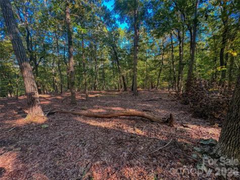 388 Palisade Trace Denton NC 27239