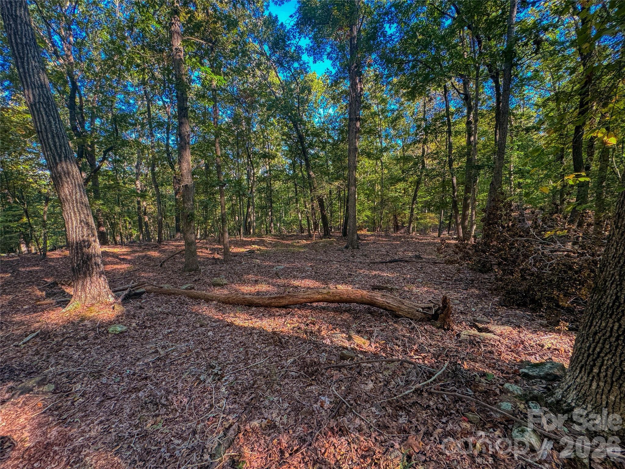 388 Palisade Trace Denton NC 27239