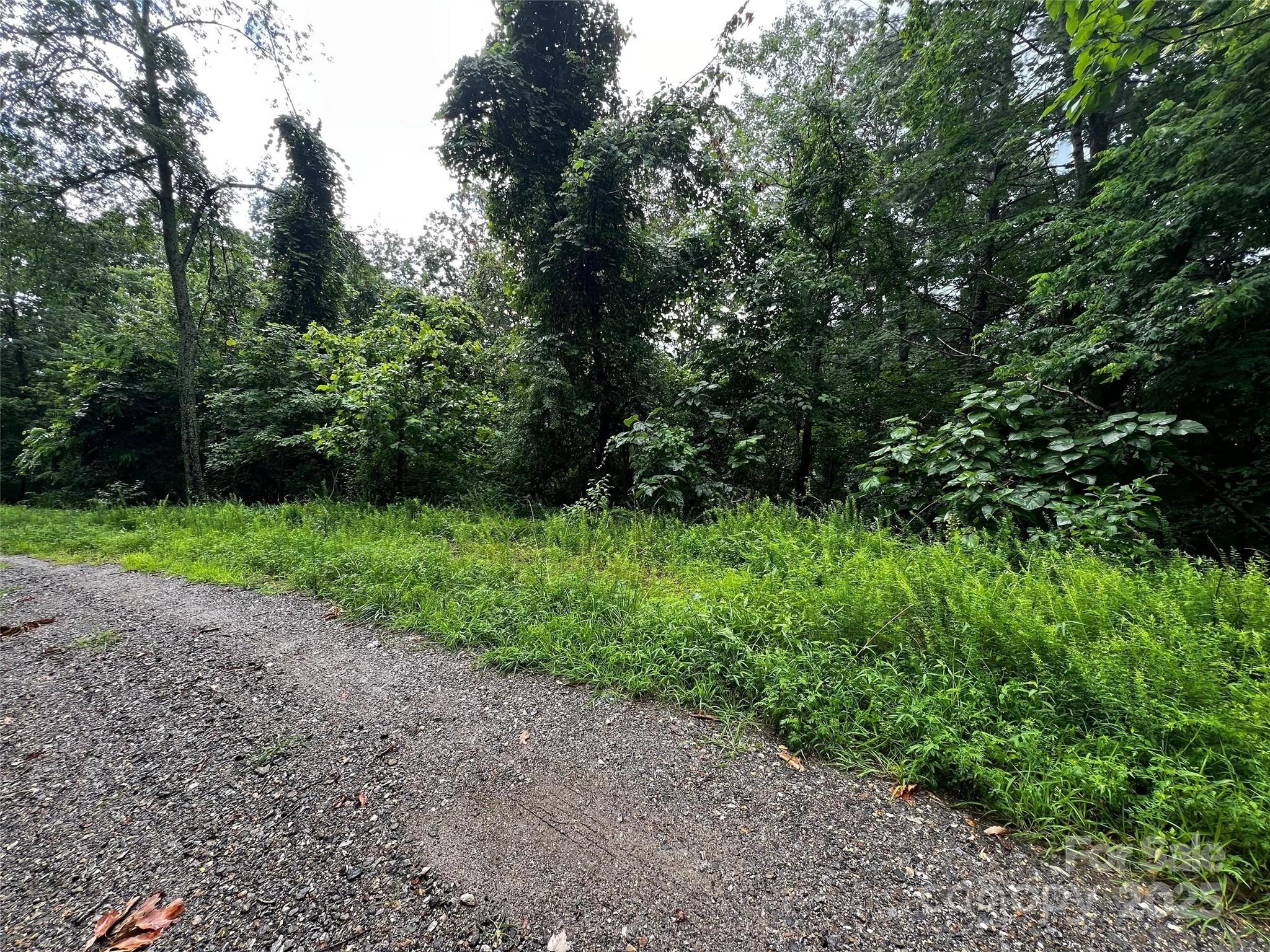99999 Rising Sun Road Mars Hill NC 28754