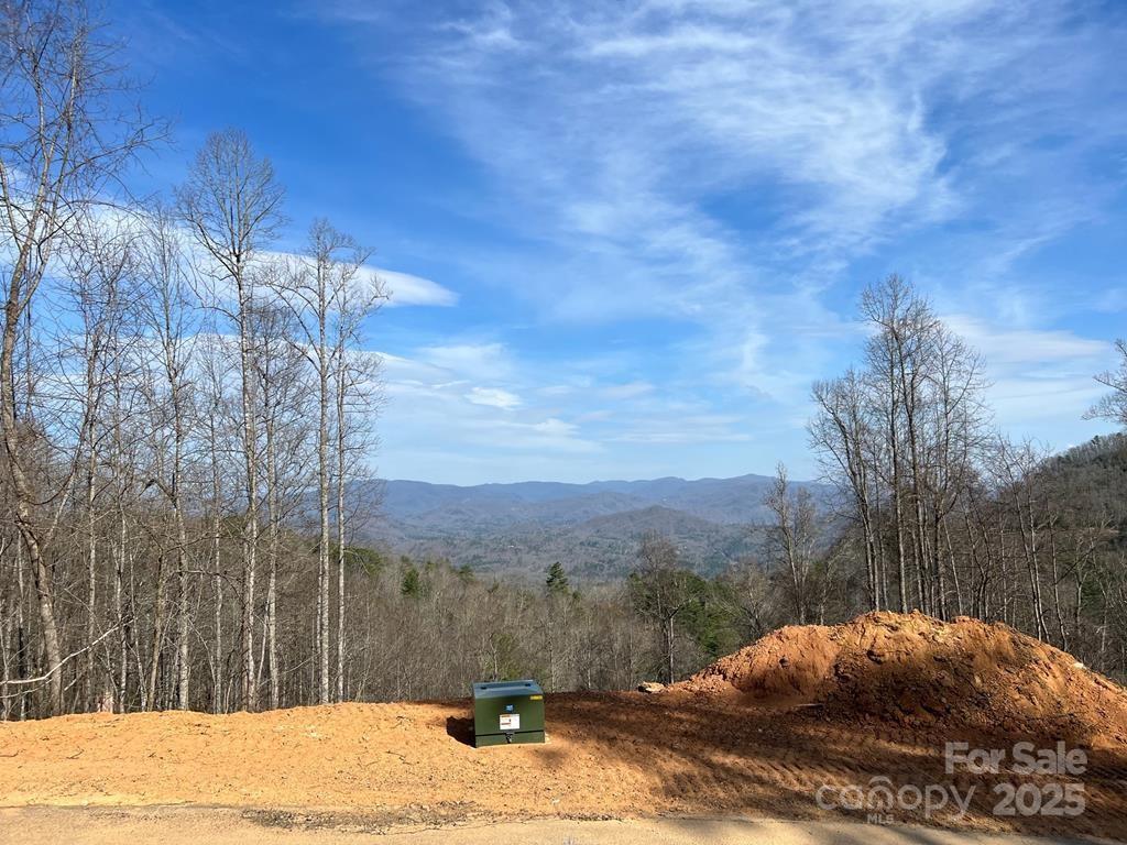 44 Bee Gum Ridge Almond NC 28702