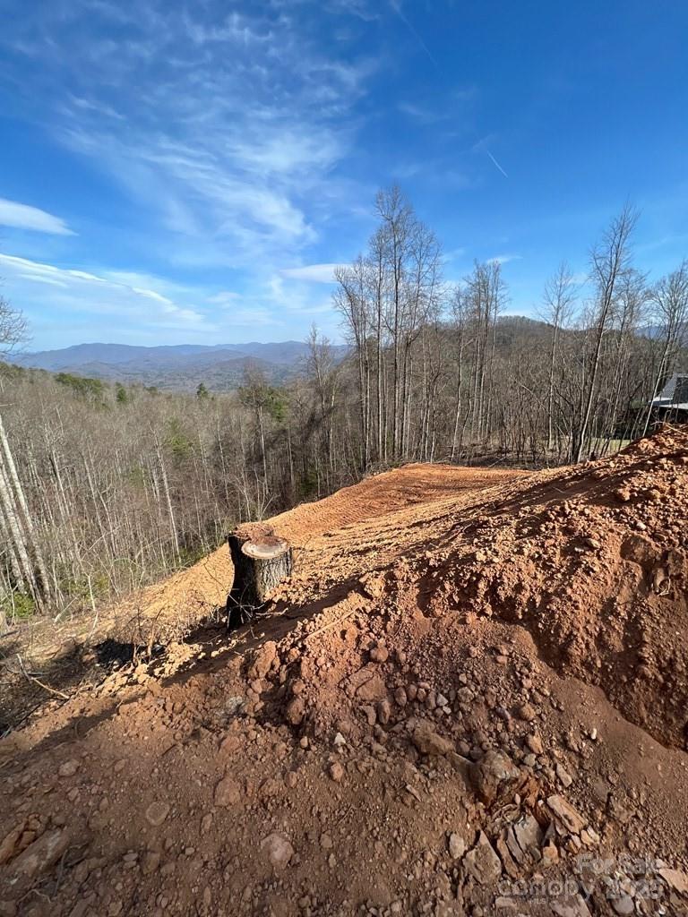 44 Bee Gum Ridge Almond NC 28702