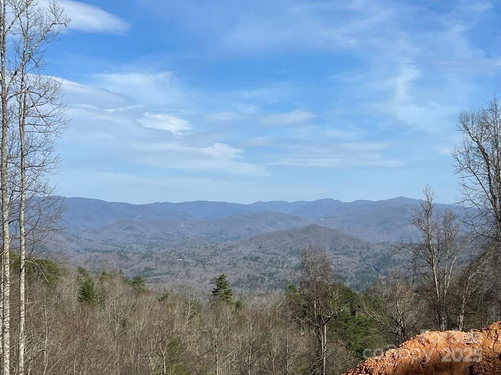 44 Bee Gum Ridge Almond NC 28702