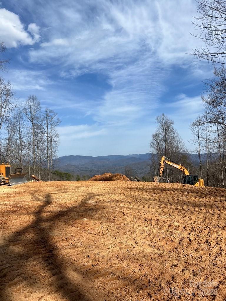 44 Bee Gum Ridge Almond NC 28702
