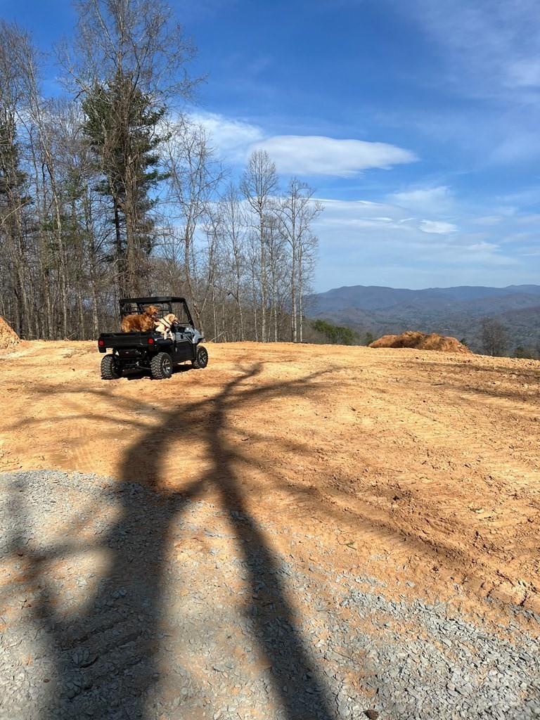 44 Bee Gum Ridge Almond NC 28702