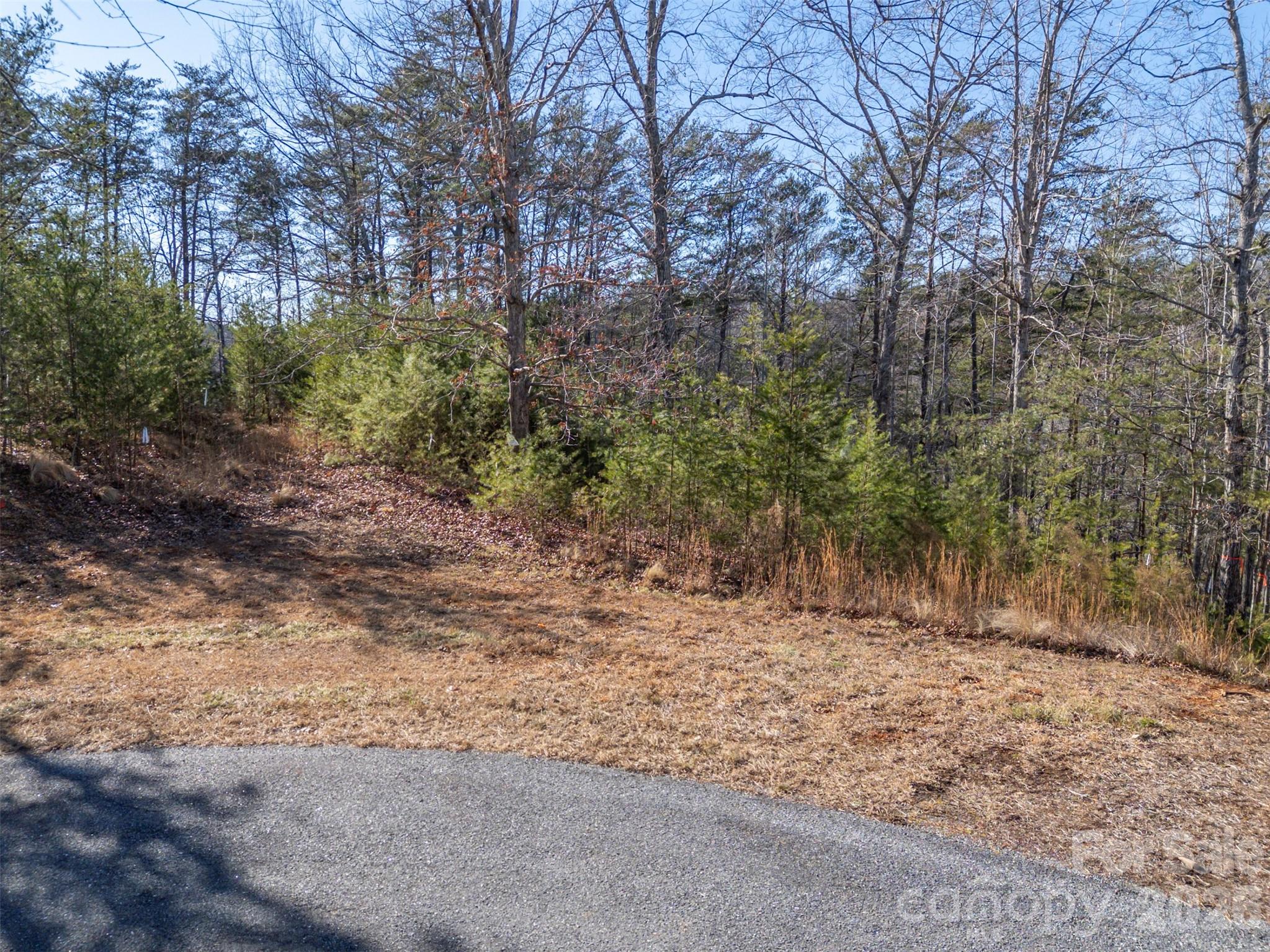 000 Indian Summer Lane Mill Spring NC 28756