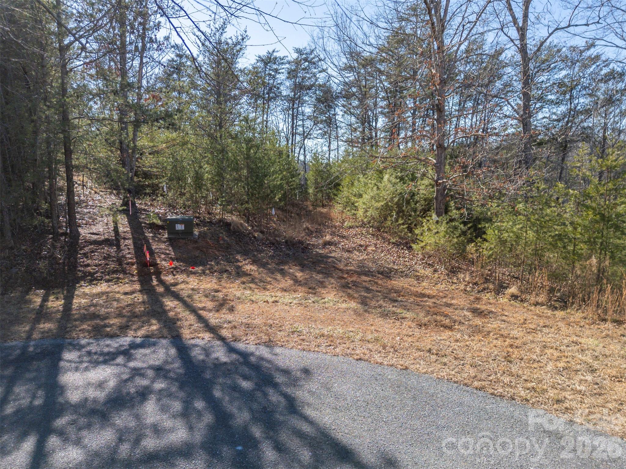 000 Indian Summer Lane Mill Spring NC 28756
