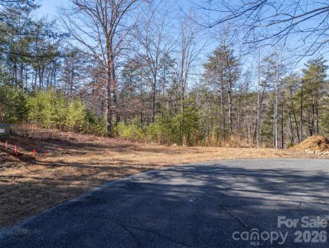 000 Indian Summer Lane Mill Spring NC 28756