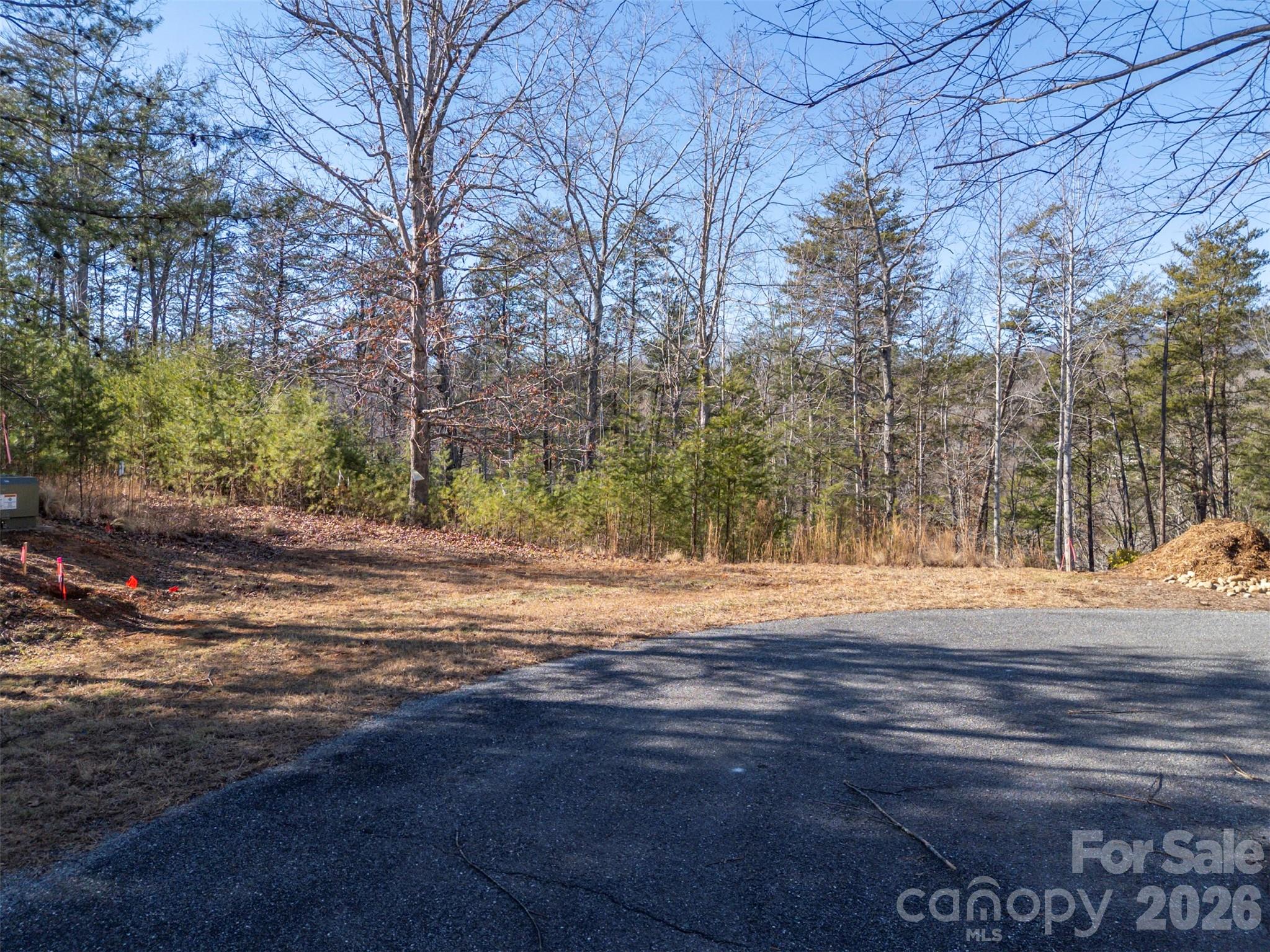 000 Indian Summer Lane Mill Spring NC 28756
