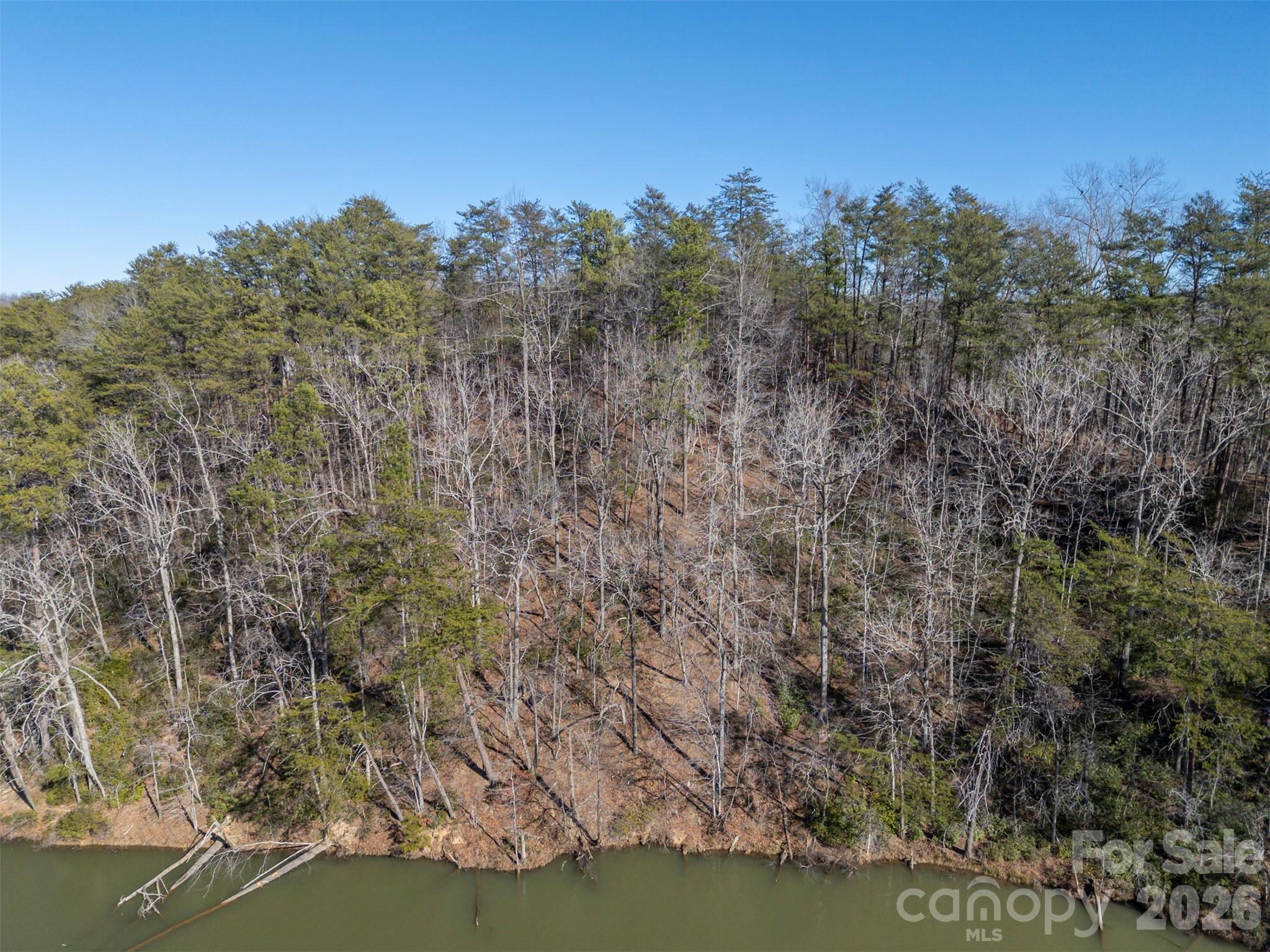 000 Indian Summer Lane Mill Spring NC 28756