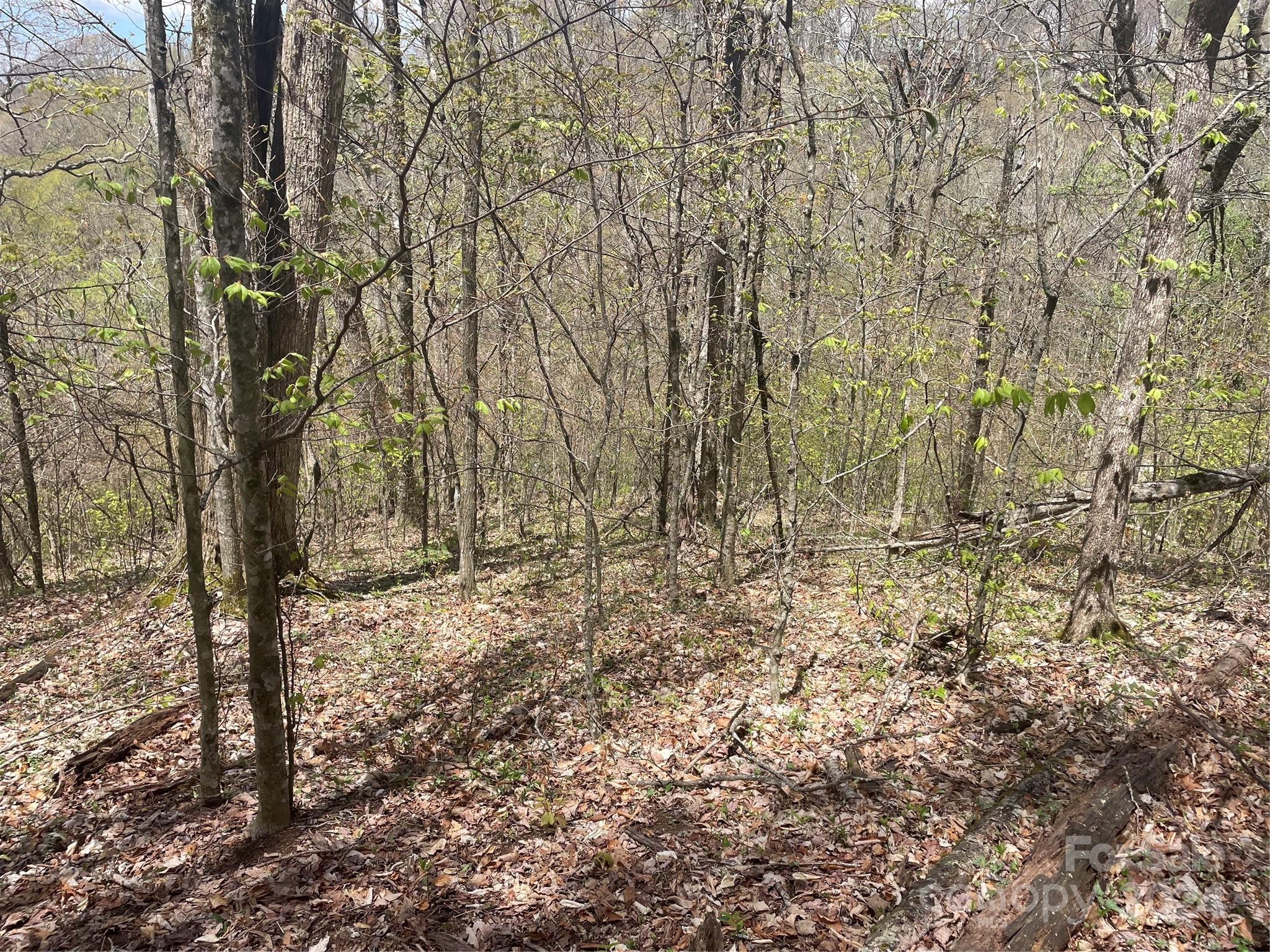 000 El Miner Drive Mars Hill NC 28754