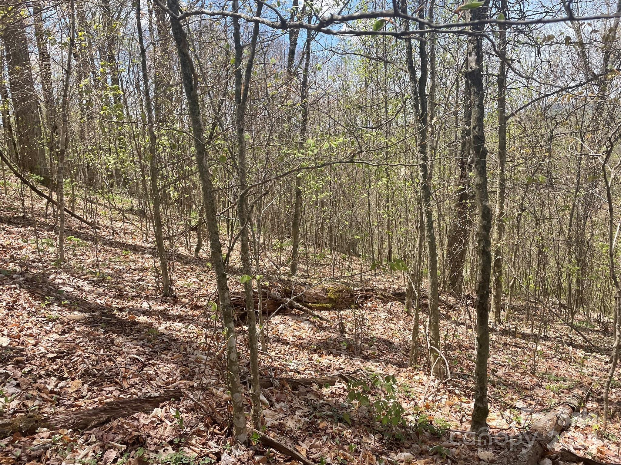 000 El Miner Drive Mars Hill NC 28754
