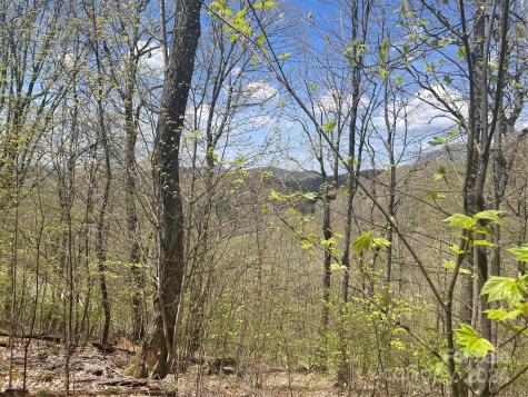 000 El Miner Drive Mars Hill NC 28754