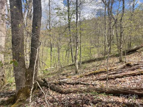 000 El Miner Drive Mars Hill NC 28754