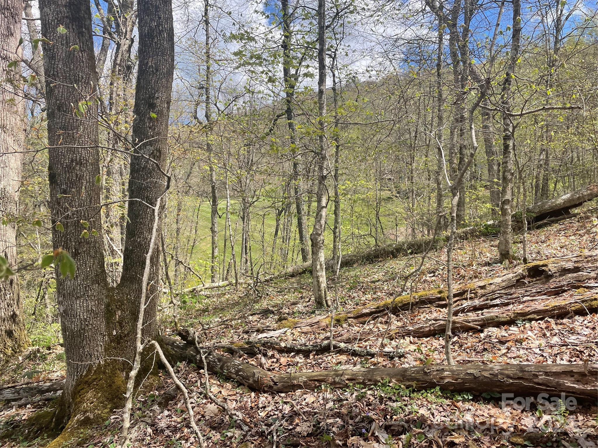 000 El Miner Drive Mars Hill NC 28754