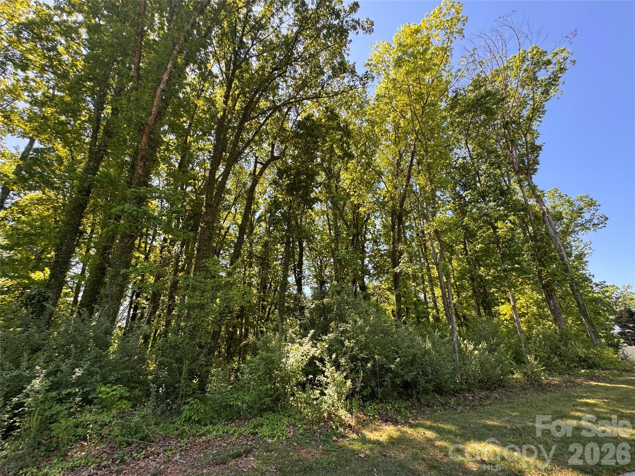 515 Holbrook Street Huntersville NC 28078