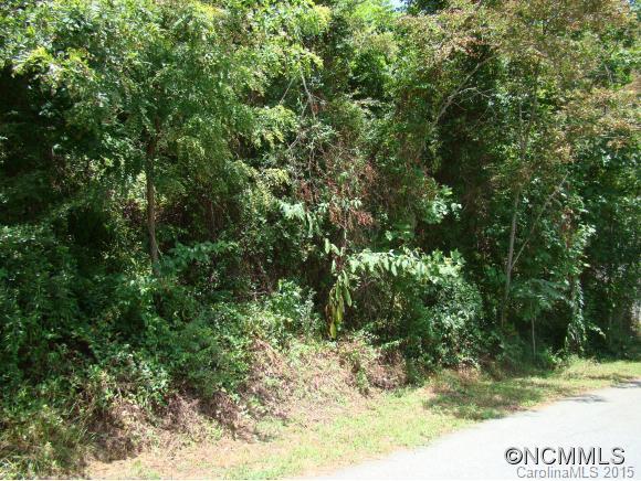 64 & 68 Squires Lane Candler NC 28715