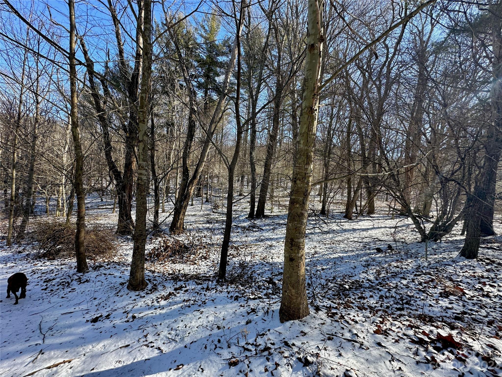 T4 Seneca Drive Boone NC 28607