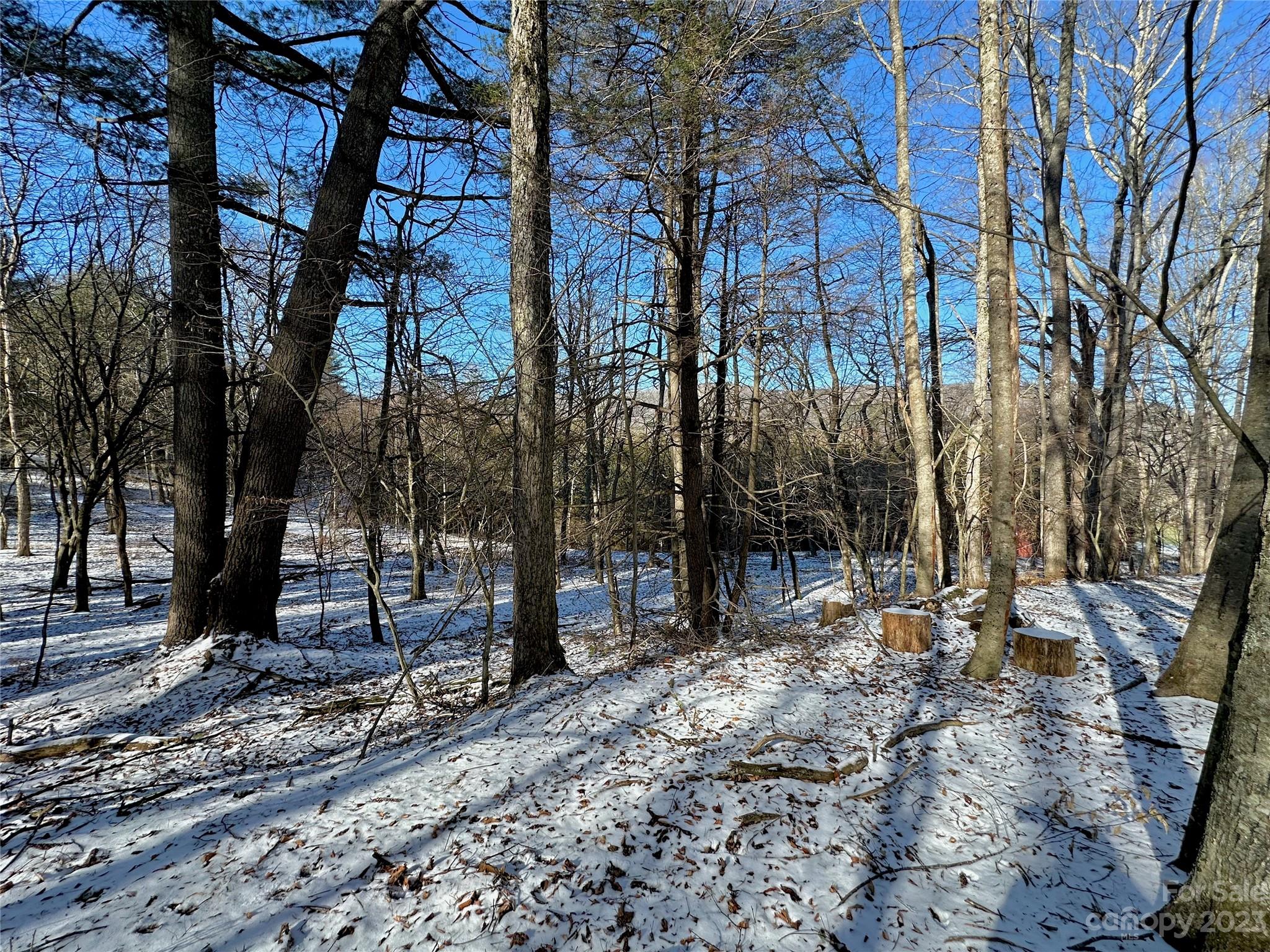 T4 Seneca Drive Boone NC 28607