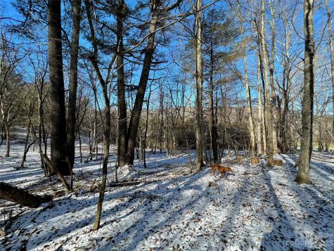 T4 Seneca Drive Boone NC 28607