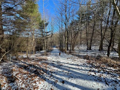 T4 Seneca Drive Boone NC 28607