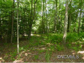 7 Bear Flower Trail Arden NC 28704