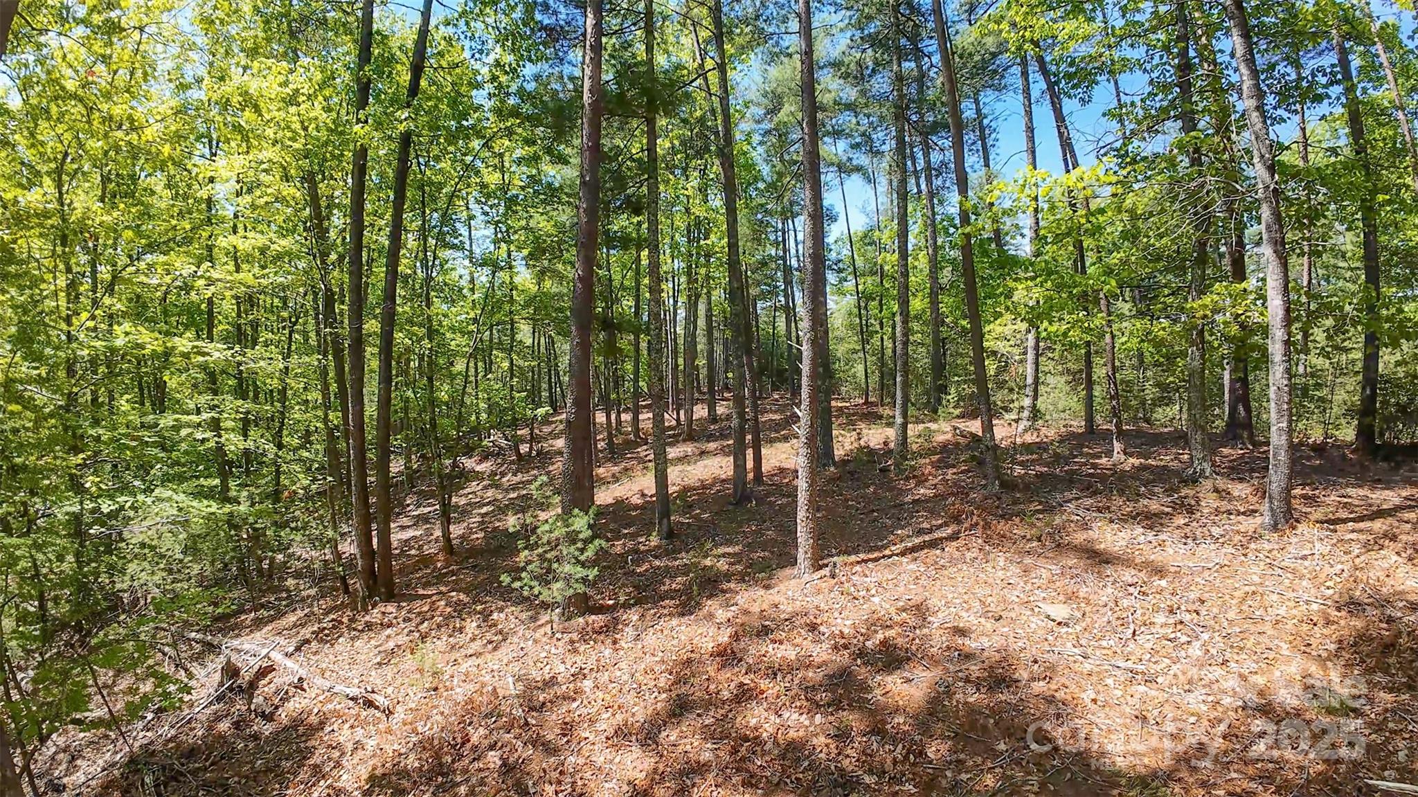 46 Osprey Roost Drive Nebo NC 28761