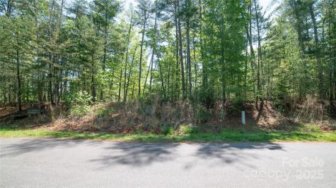 46 Osprey Roost Drive Nebo NC 28761