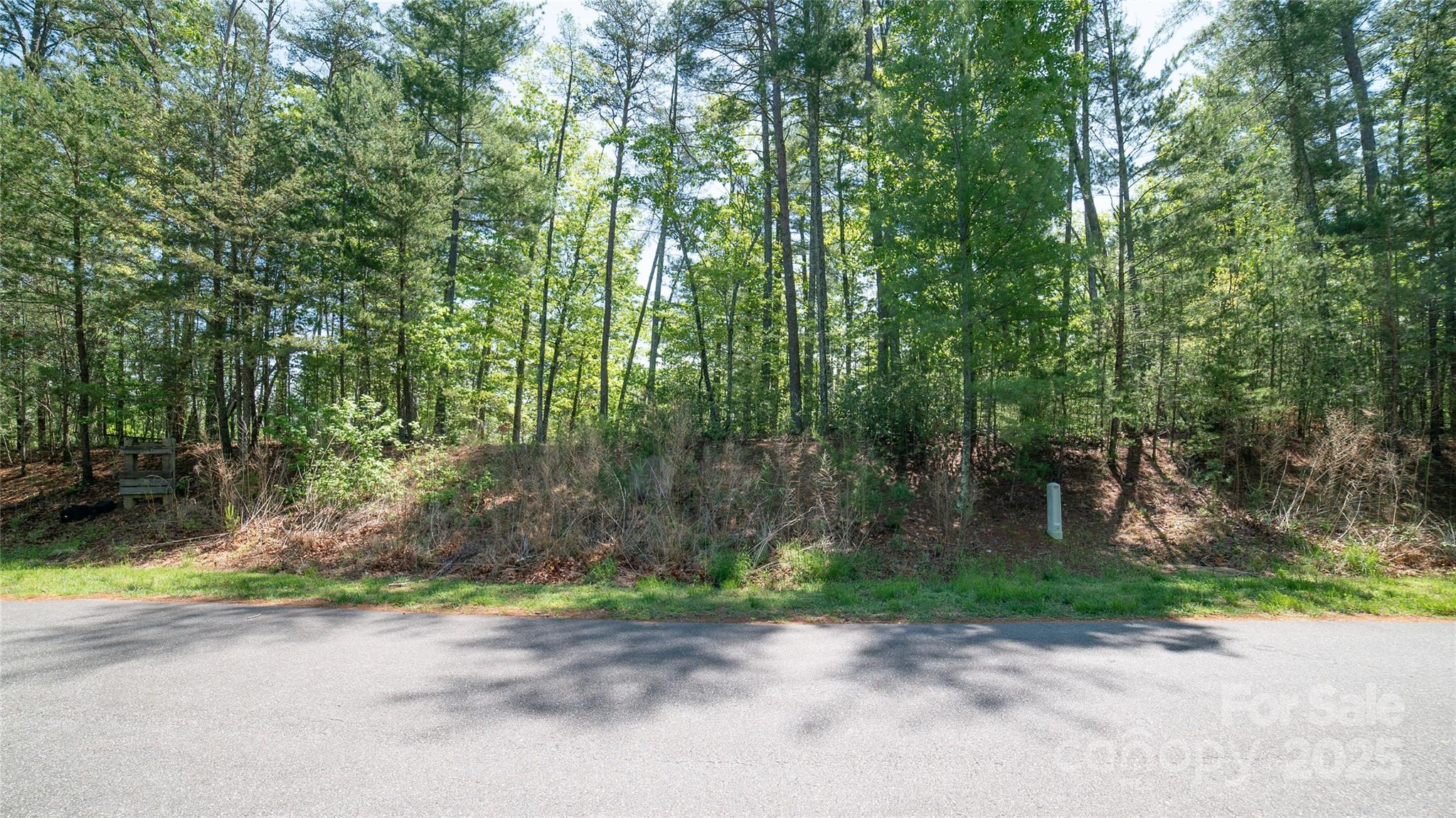 46 Osprey Roost Drive Nebo NC 28761