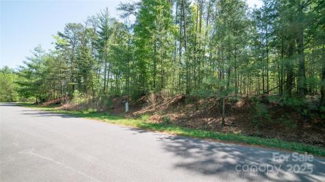 46 Osprey Roost Drive Nebo NC 28761