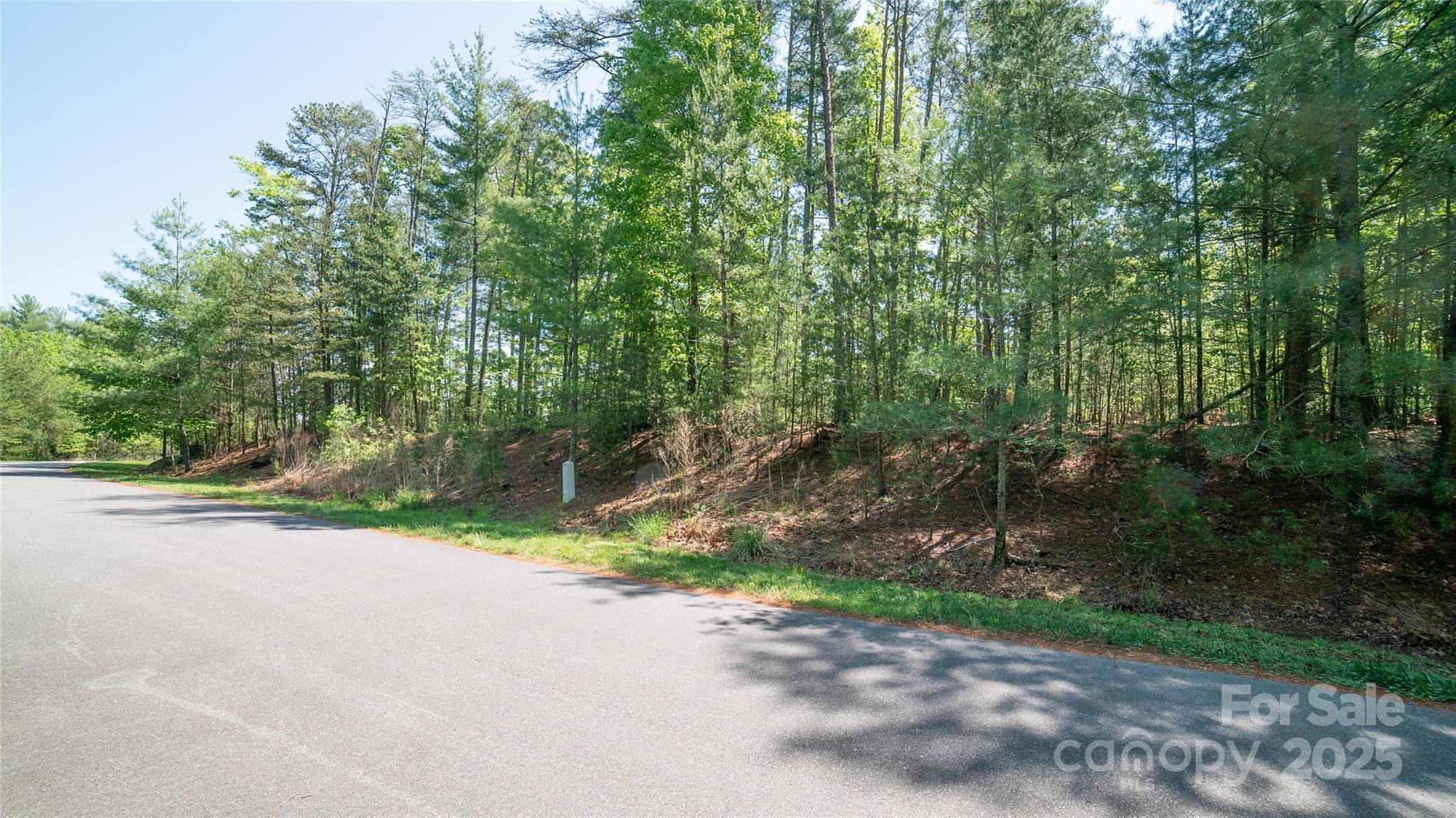 46 Osprey Roost Drive Nebo NC 28761