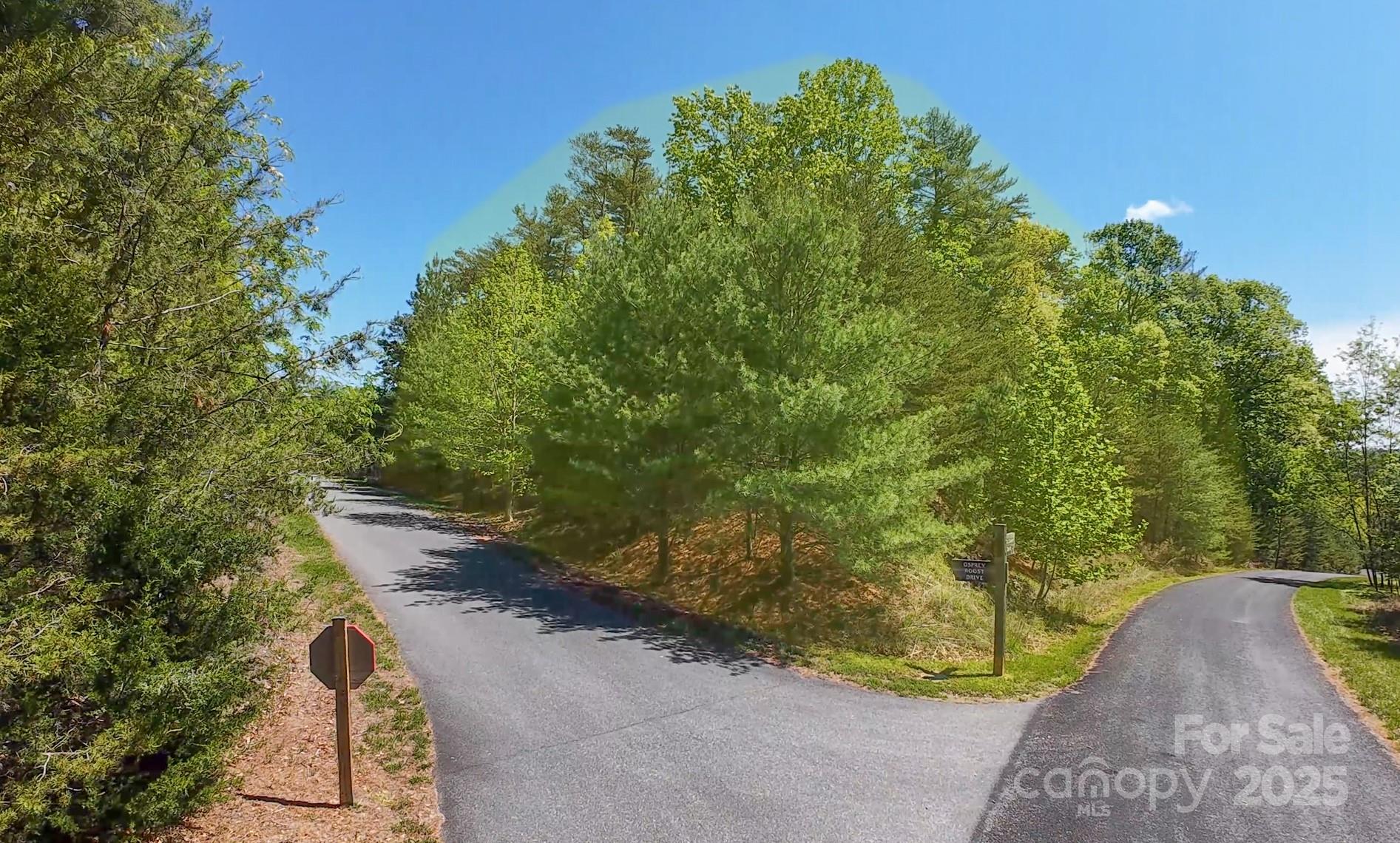 46 Osprey Roost Drive Nebo NC 28761