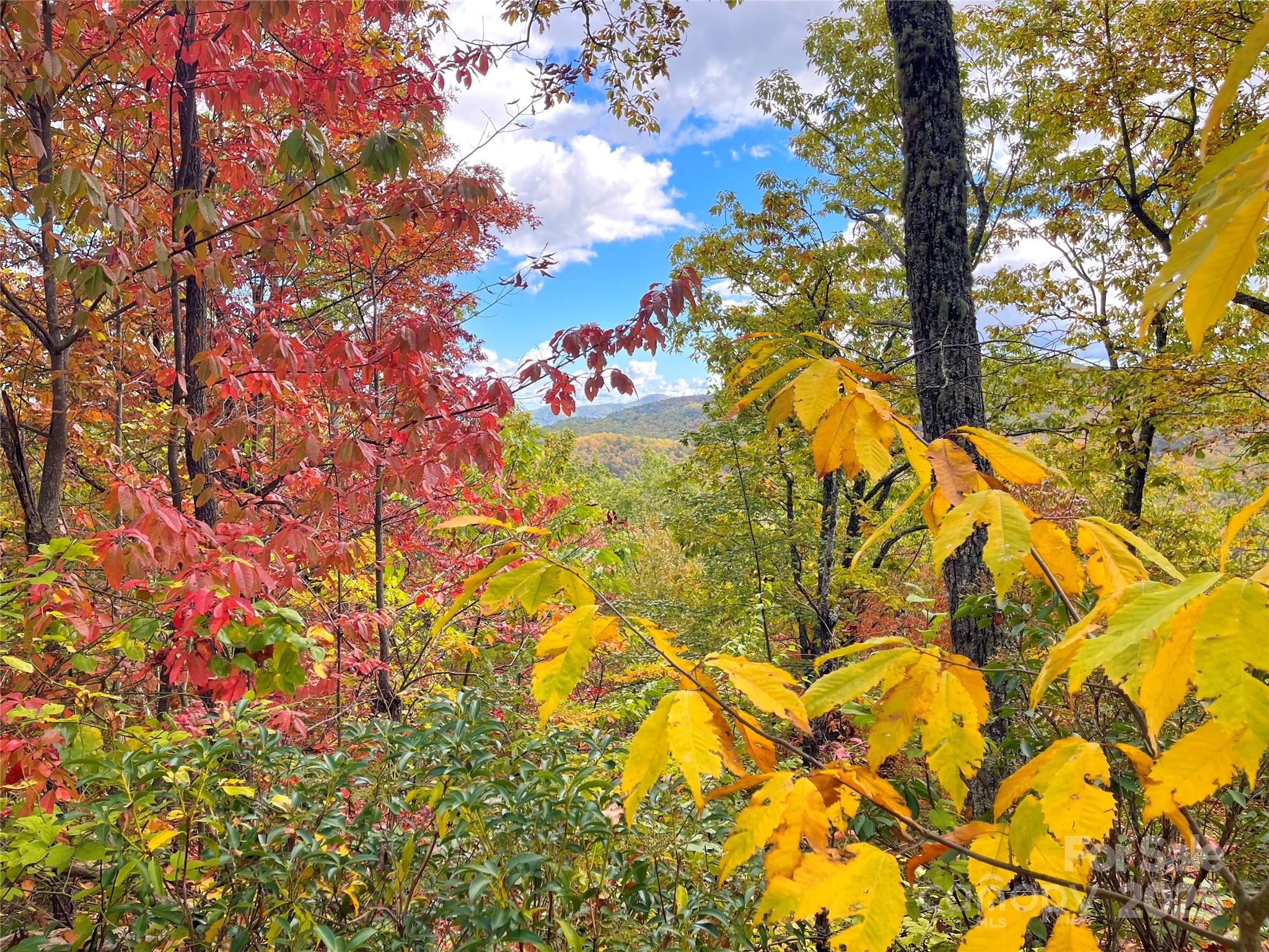 57 Grouse Ridge Drive Black Mountain NC 28711