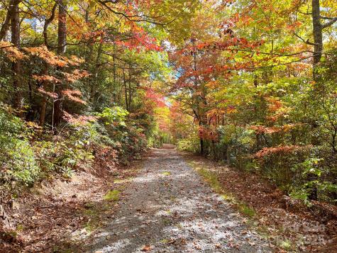 57 Grouse Ridge Drive Black Mountain NC 28711