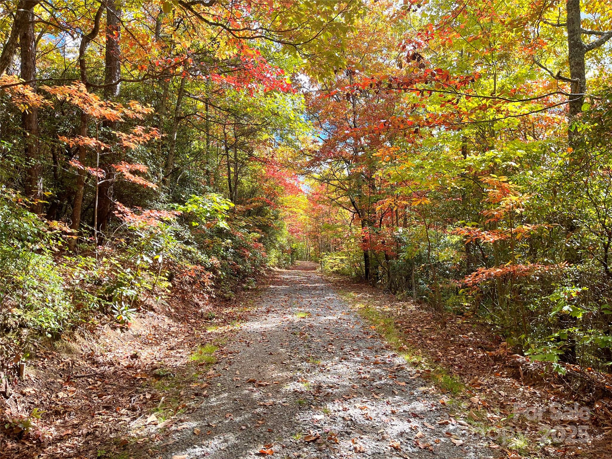 57 Grouse Ridge Drive Black Mountain NC 28711