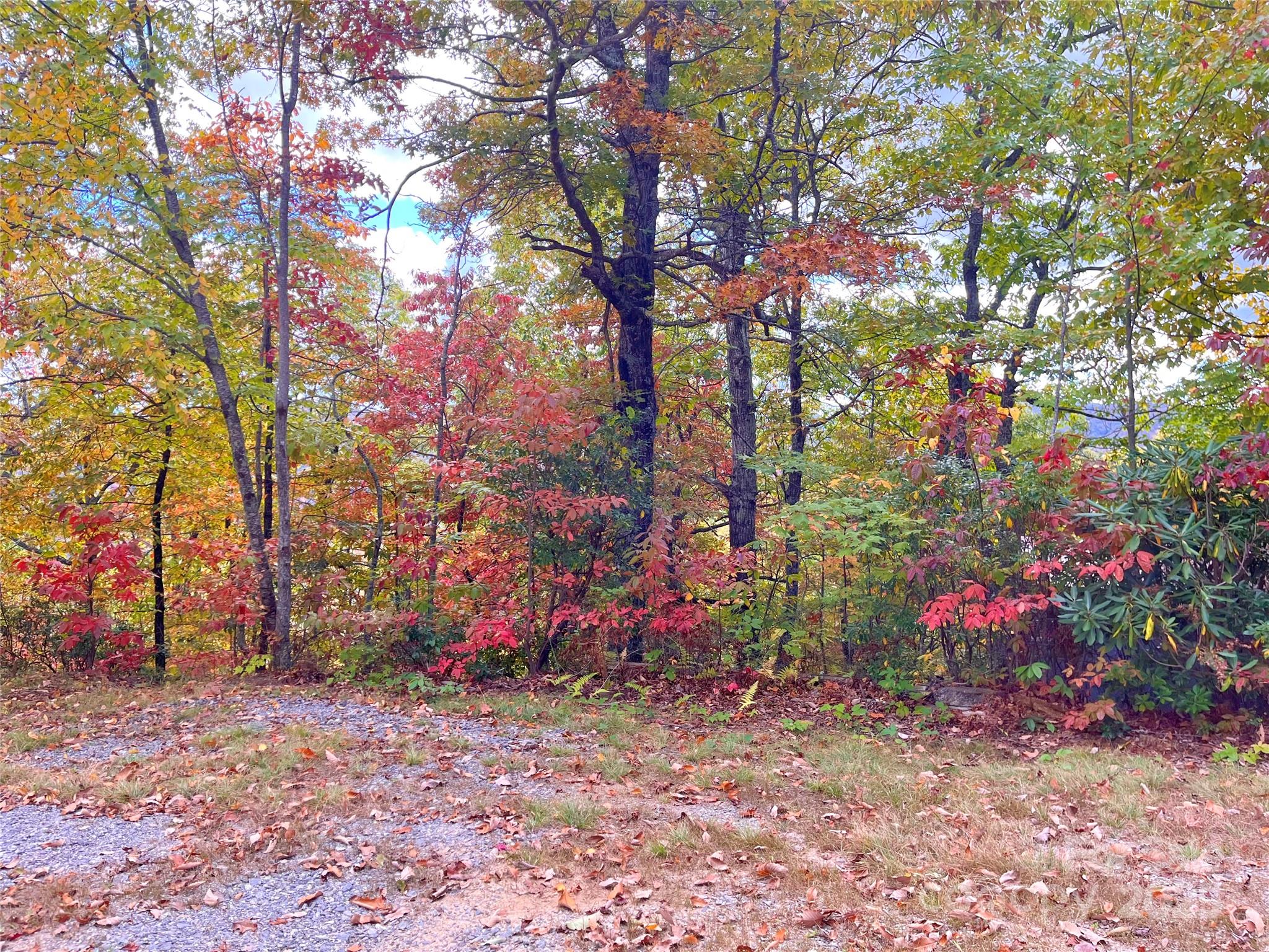 57 Grouse Ridge Drive Black Mountain NC 28711