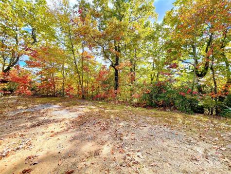 57 Grouse Ridge Drive Black Mountain NC 28711