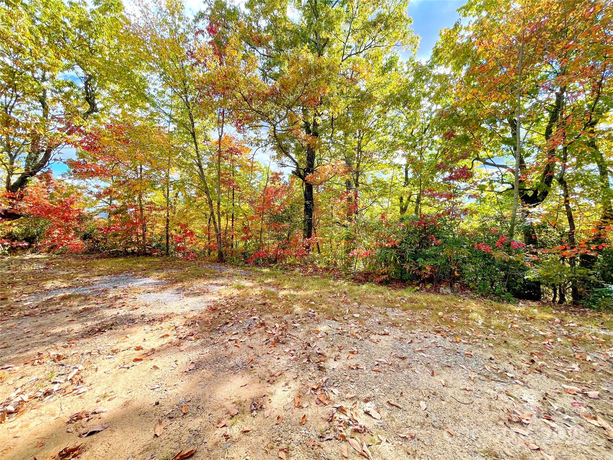 57 Grouse Ridge Drive Black Mountain NC 28711