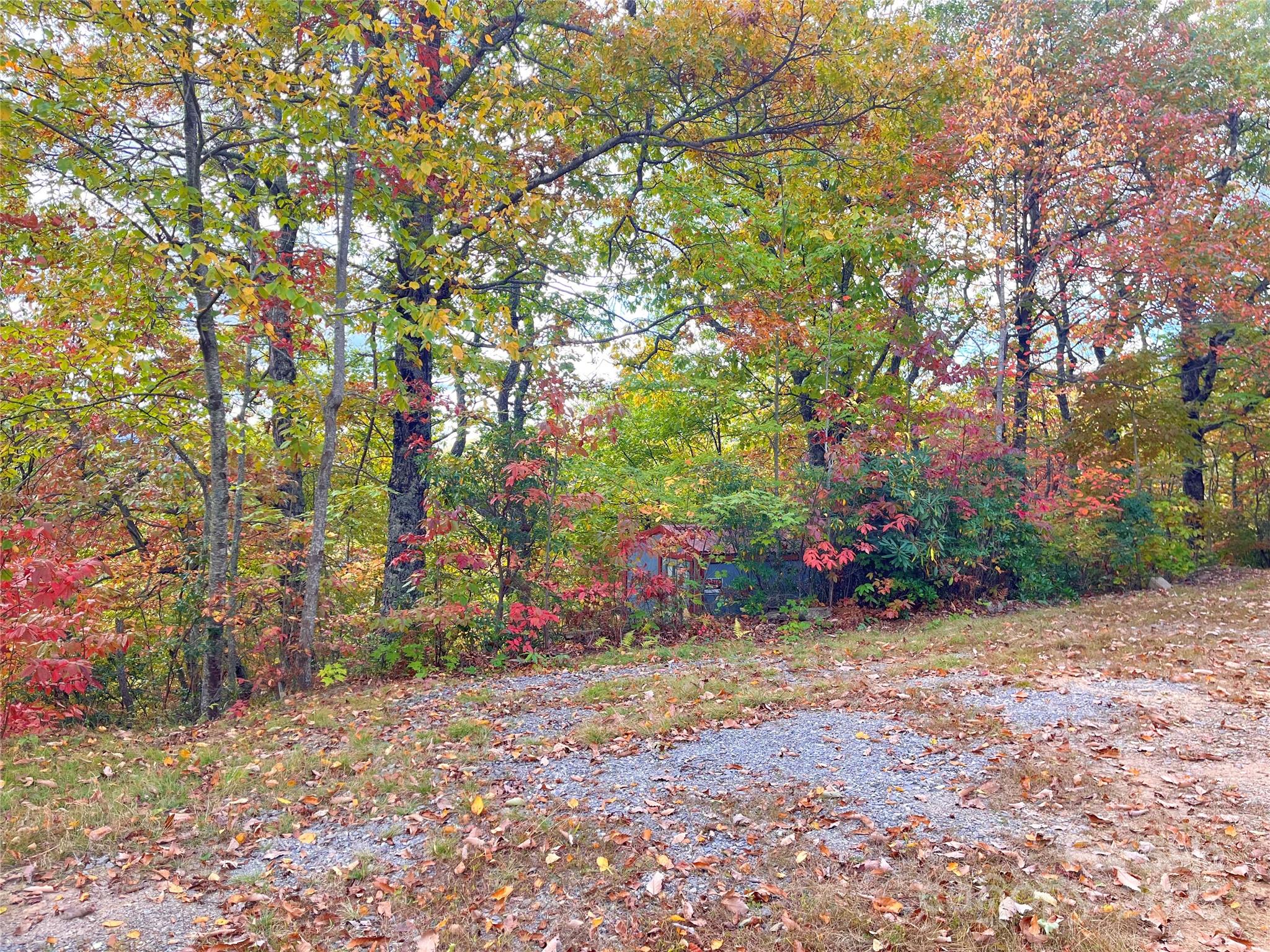 57 Grouse Ridge Drive Black Mountain NC 28711