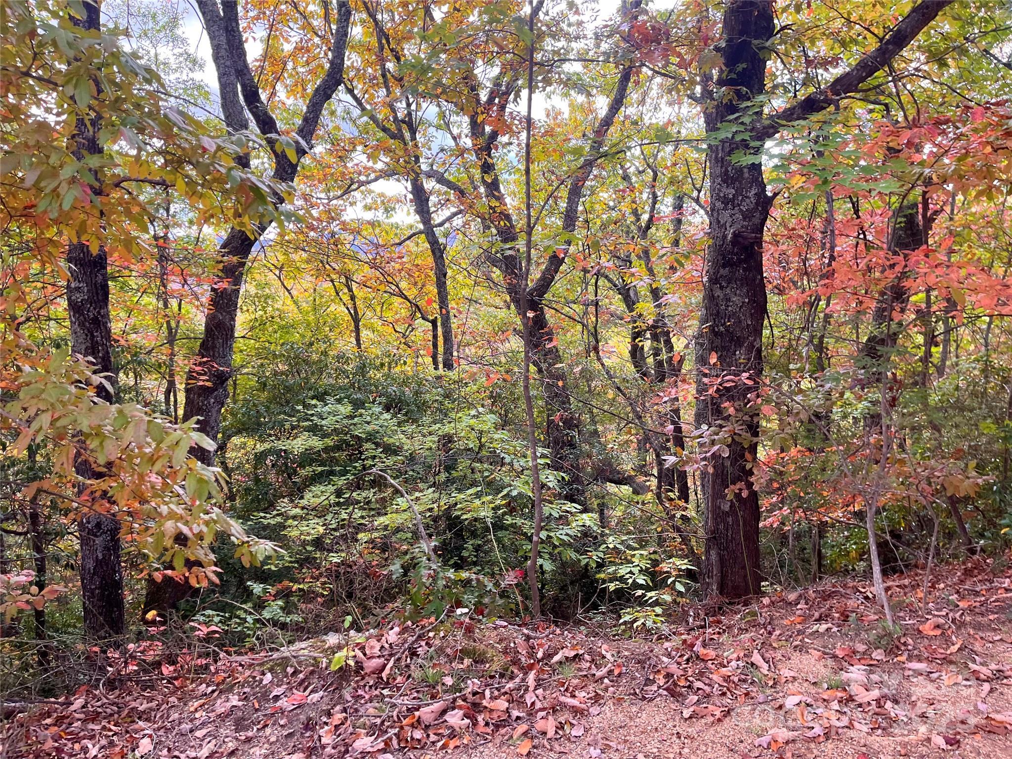 57 Grouse Ridge Drive Black Mountain NC 28711