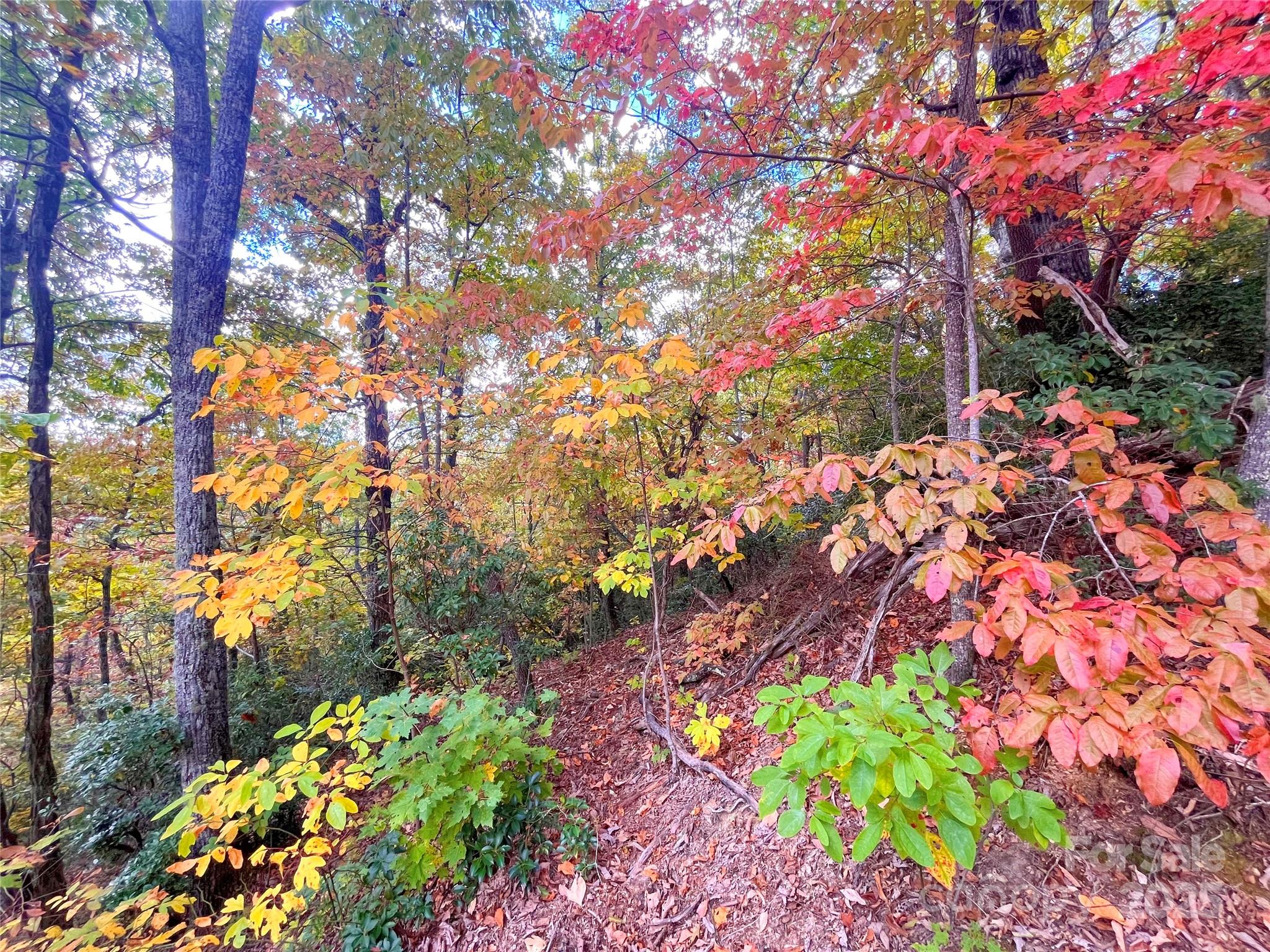 57 Grouse Ridge Drive Black Mountain NC 28711