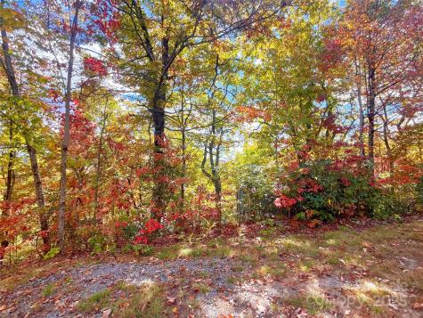 57 Grouse Ridge Drive Black Mountain NC 28711