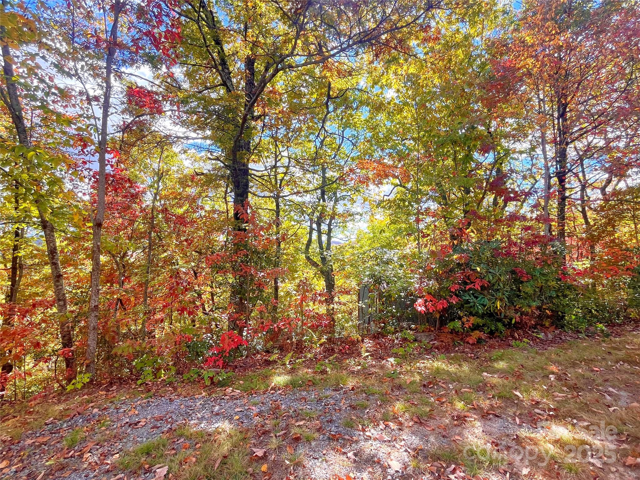 57 Grouse Ridge Drive Black Mountain NC 28711