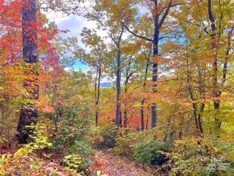 57 Grouse Ridge Drive Black Mountain NC 28711