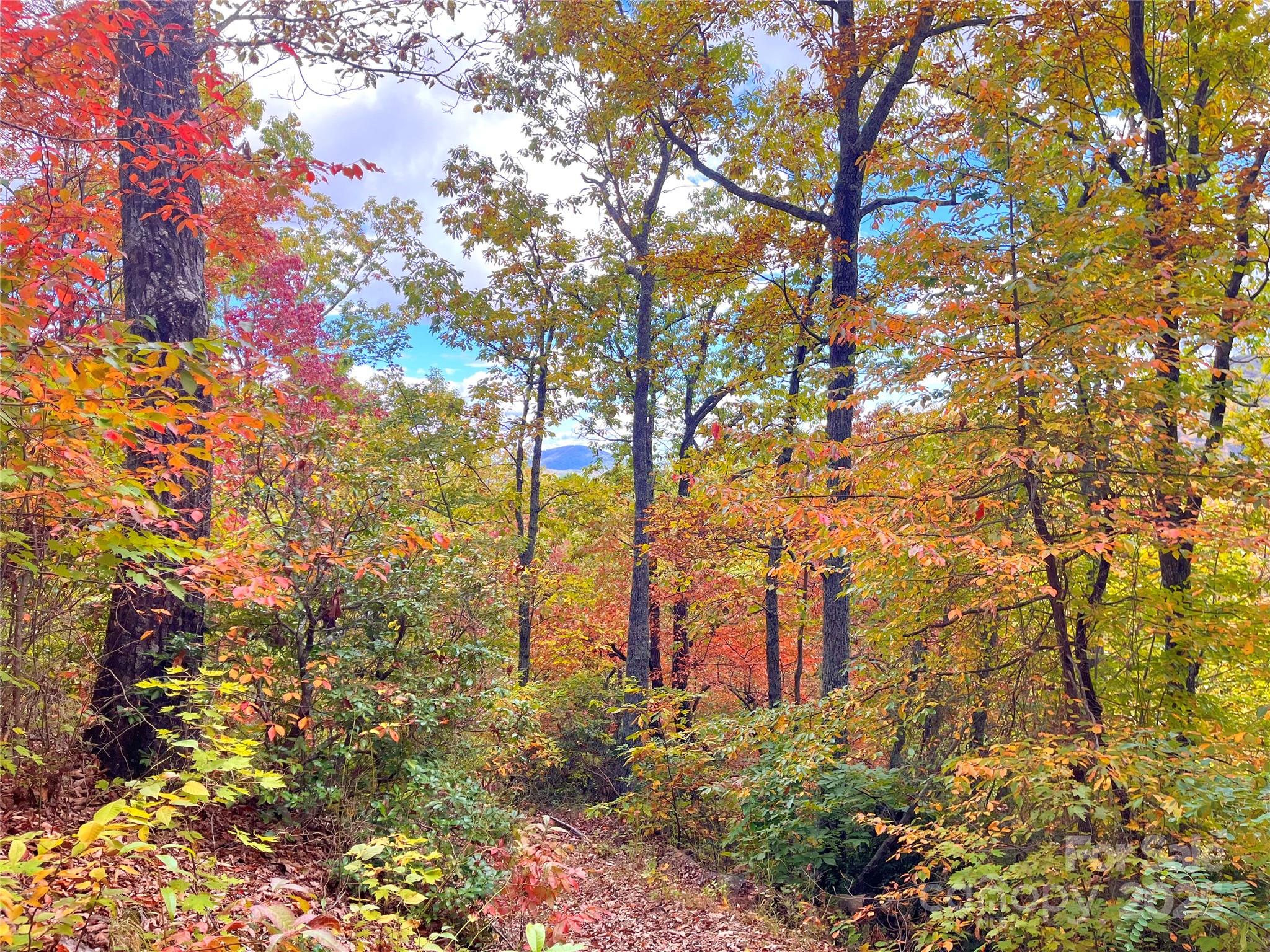 57 Grouse Ridge Drive Black Mountain NC 28711