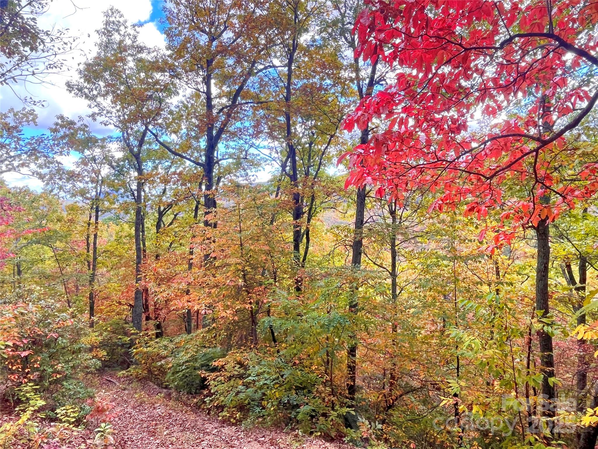 57 Grouse Ridge Drive Black Mountain NC 28711