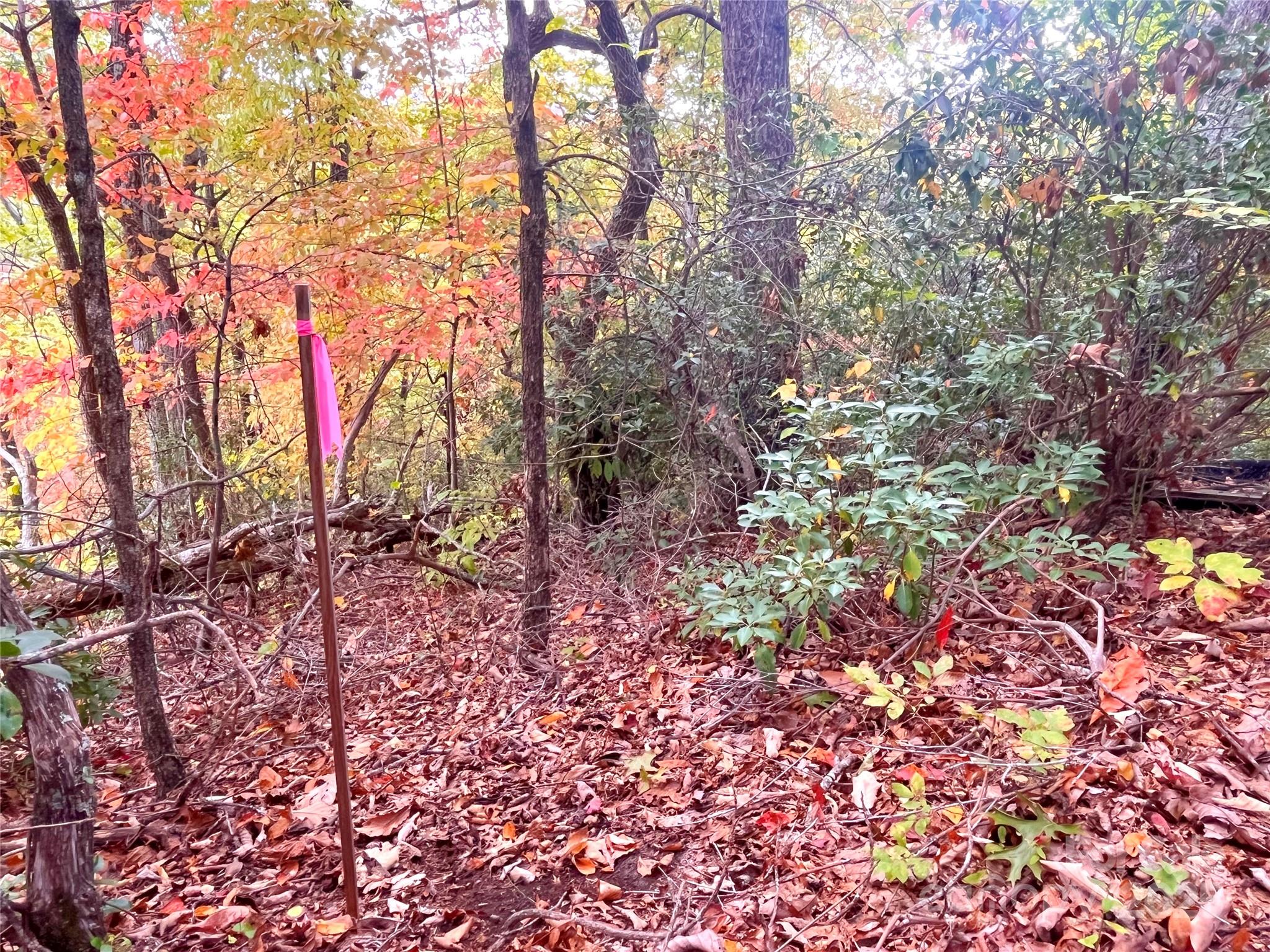 57 Grouse Ridge Drive Black Mountain NC 28711