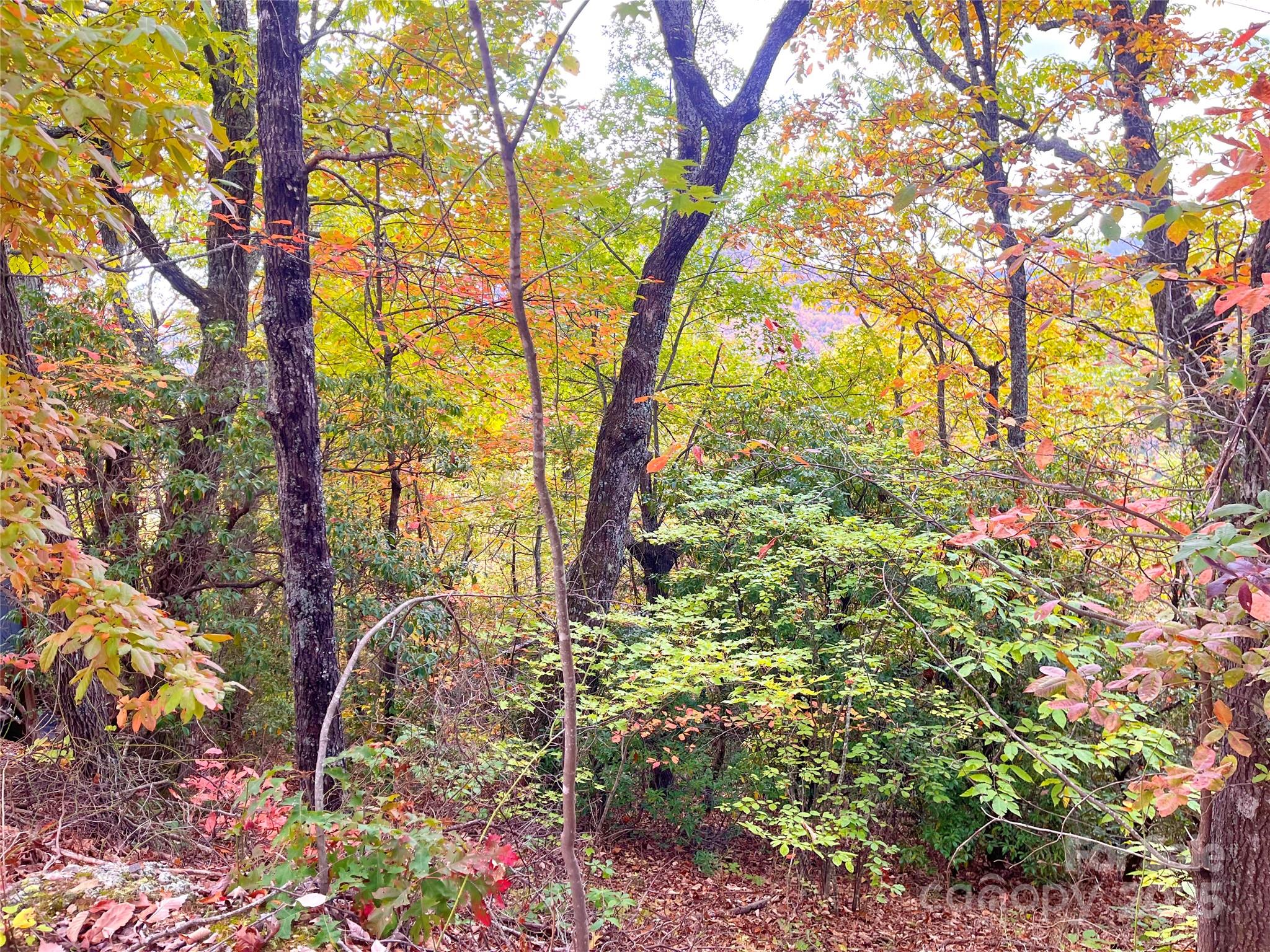 57 Grouse Ridge Drive Black Mountain NC 28711