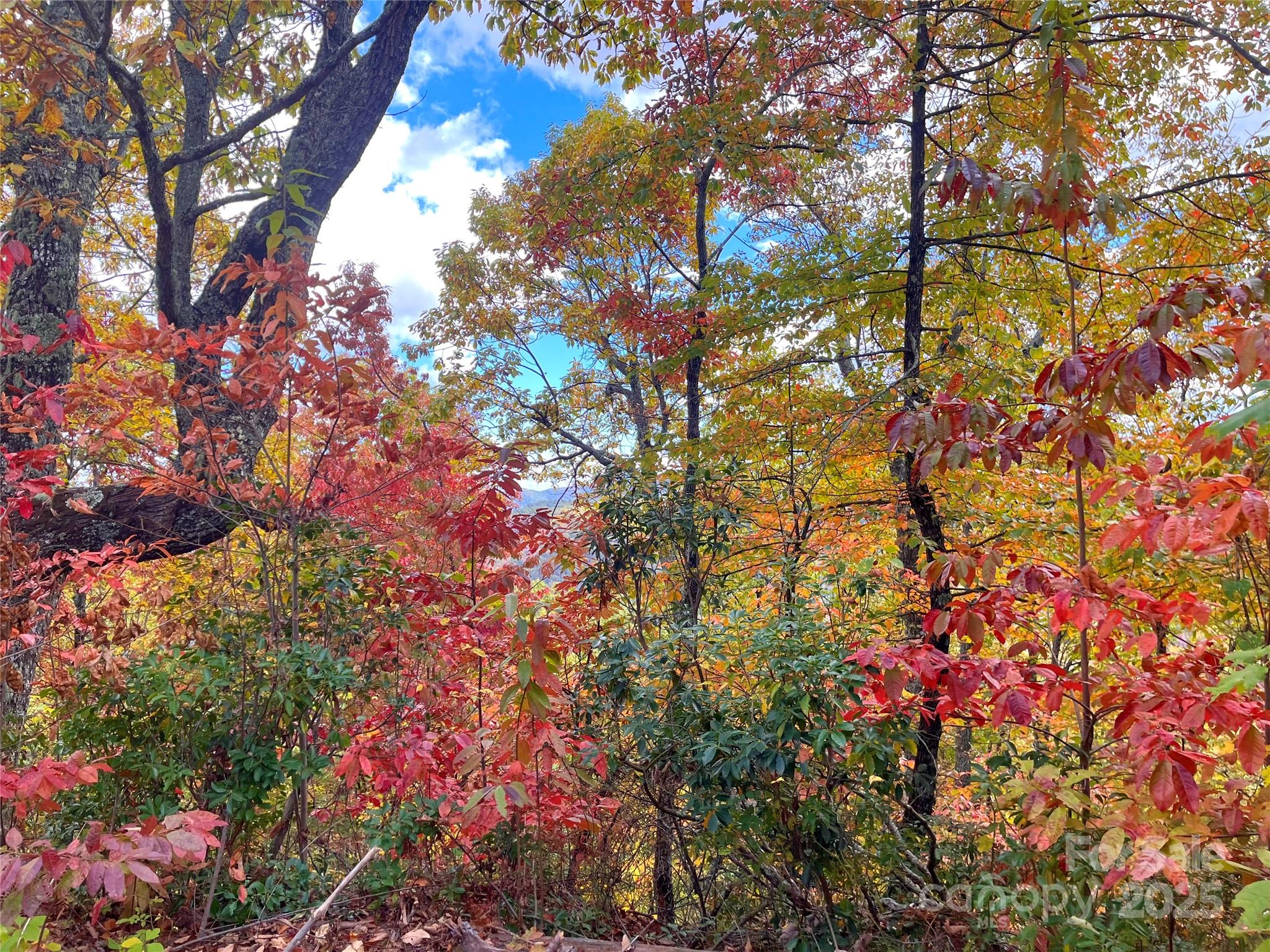 57 Grouse Ridge Drive Black Mountain NC 28711