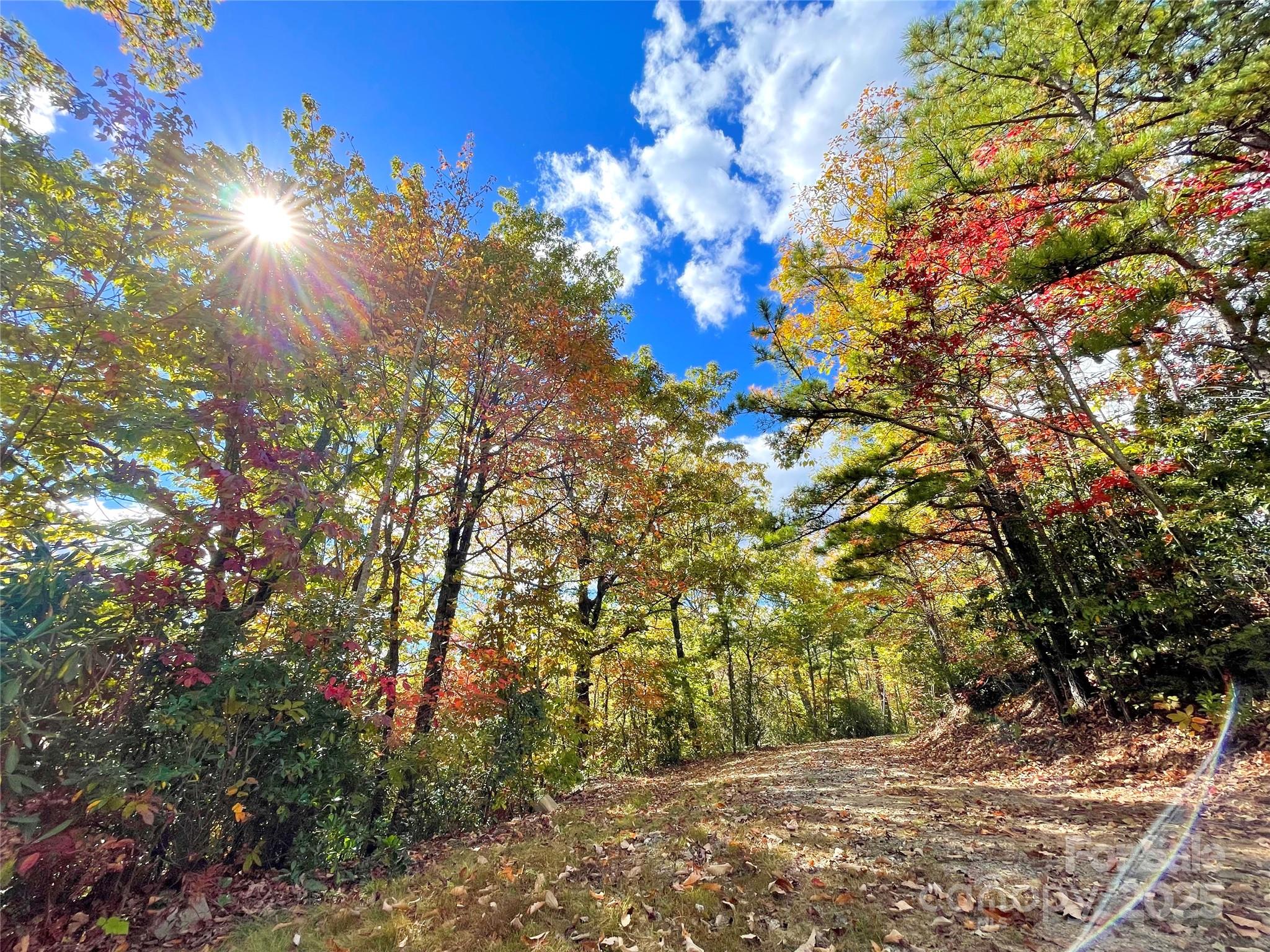 57 Grouse Ridge Drive Black Mountain NC 28711